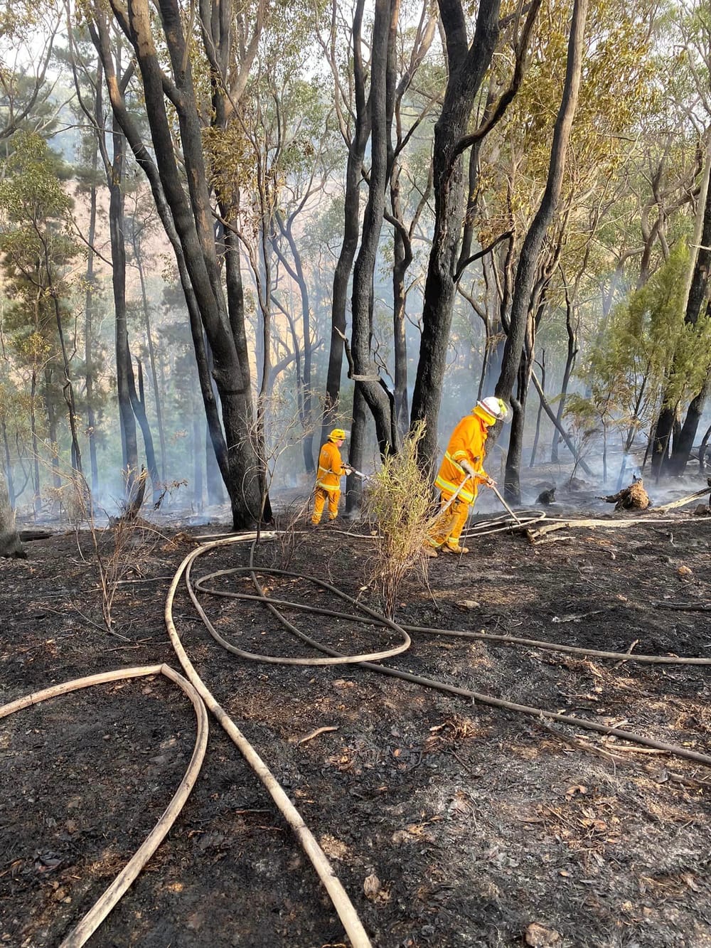 CFS renews burn-off calls after multiple fires post image