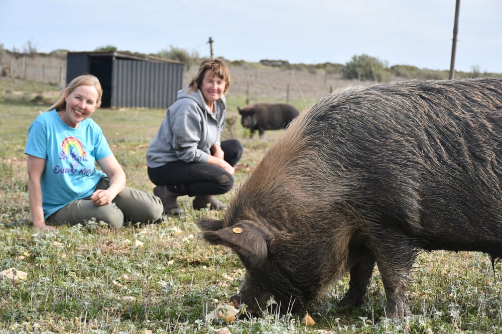 Mascots get honorable discharge post image