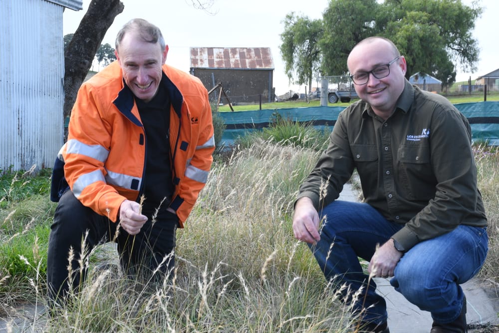 Seed project to reduce fire risk post image