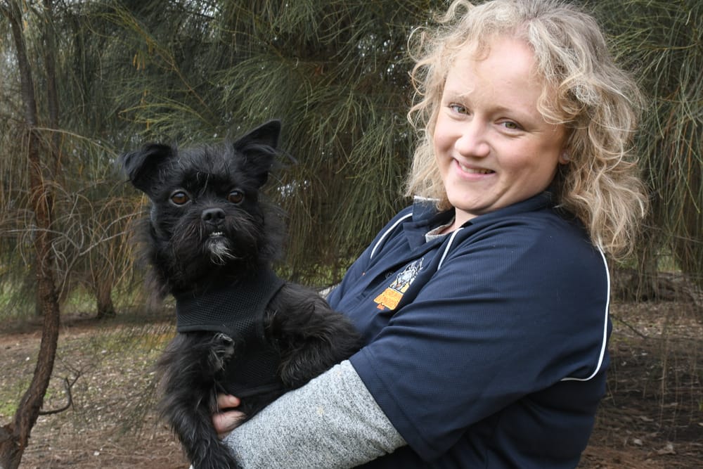 Cost of living crisis hits man's best friend post image