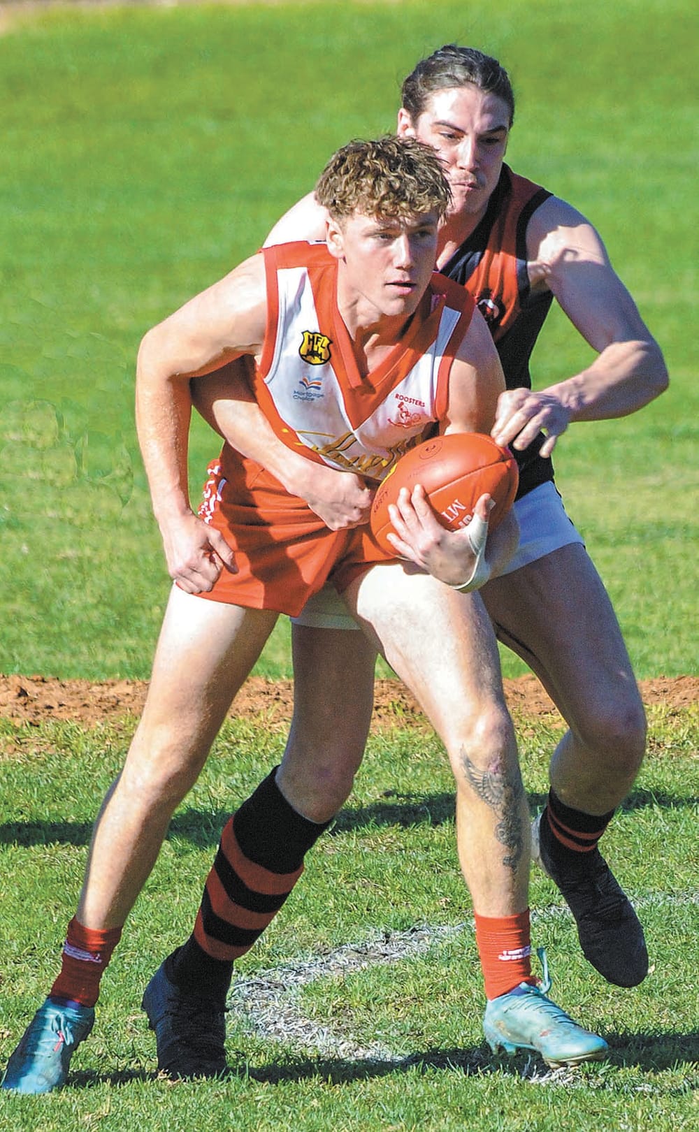 Roosters make a play post image