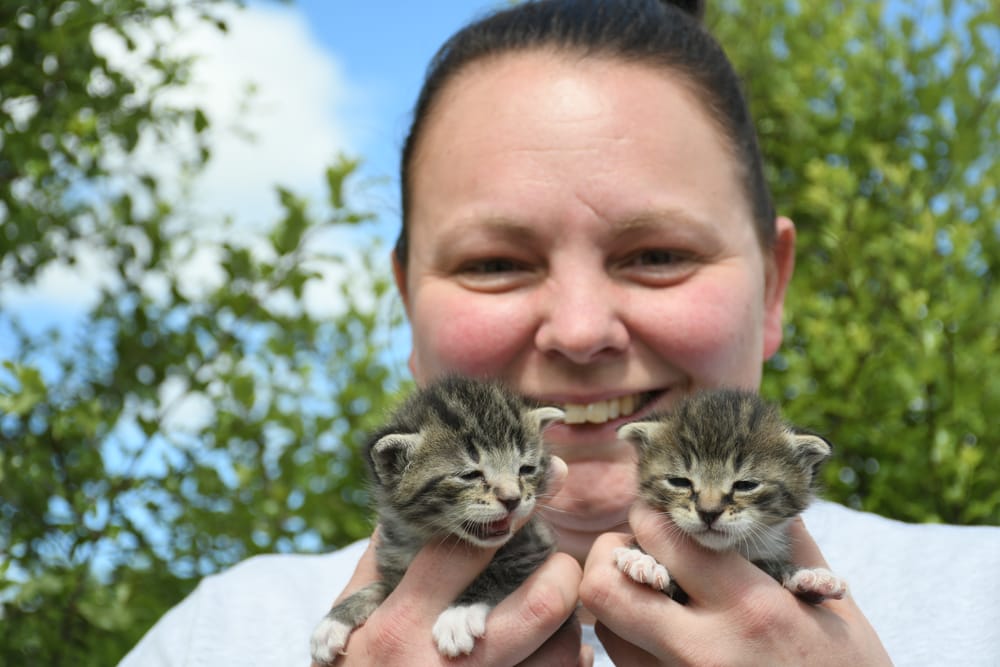 Kittens granted extra lives post image