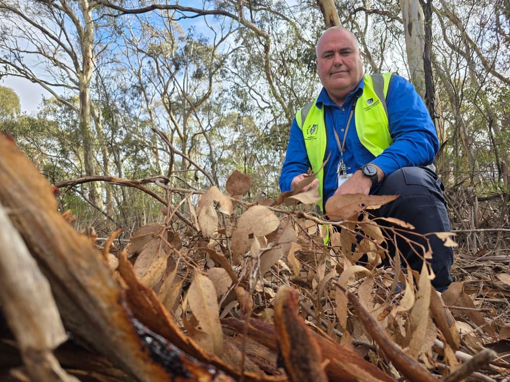 Dangerously dry post image