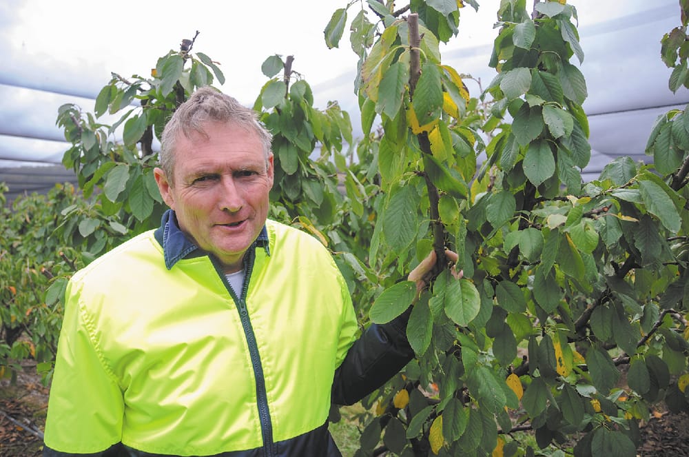 Tourism boost post image