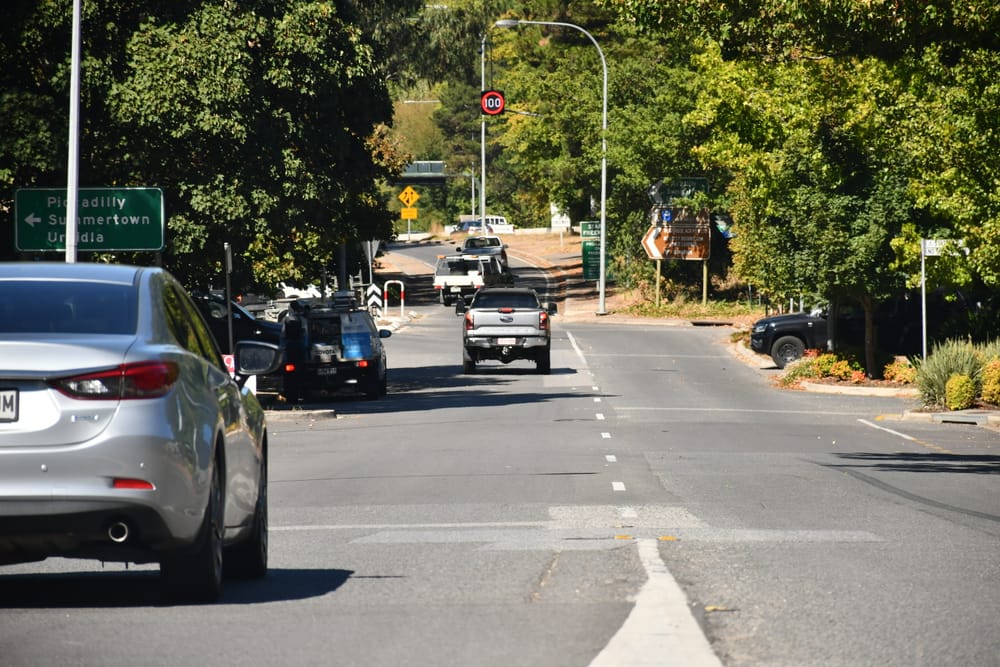 Wombat crossing and speed limit review to address safety concerns post image