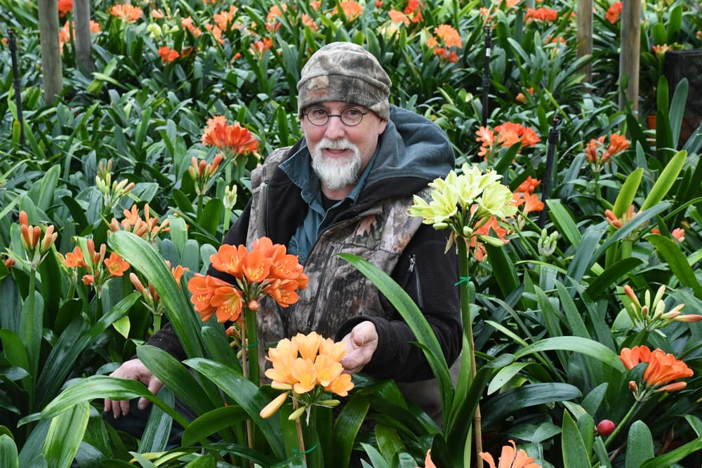 Spring has bloomed post image