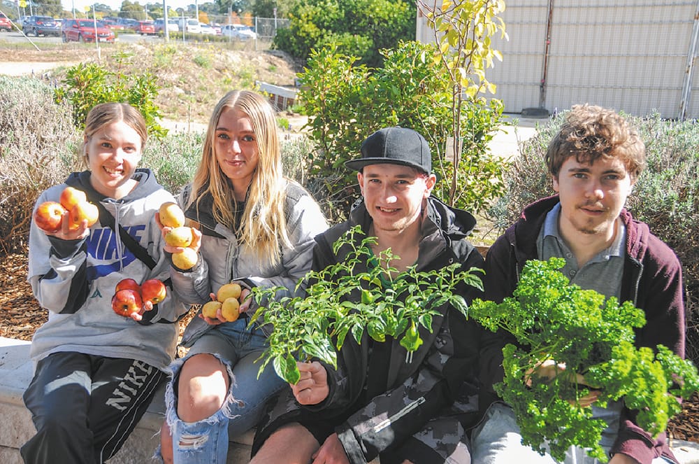Community grant to help students grow healthy habits post image