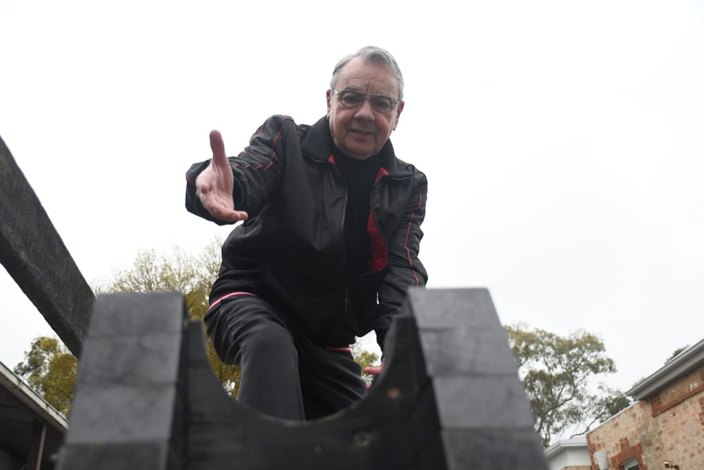 Wolfgang pleads for return of artefacts post image