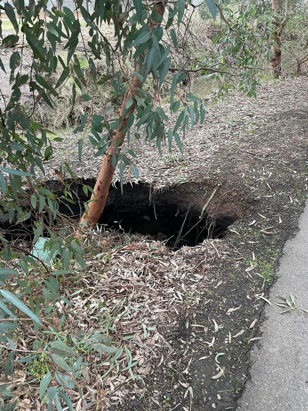 Soil collapse closes walking trail post image