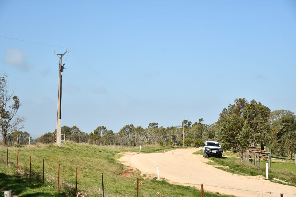 Cows killed by fallen powerlines post image