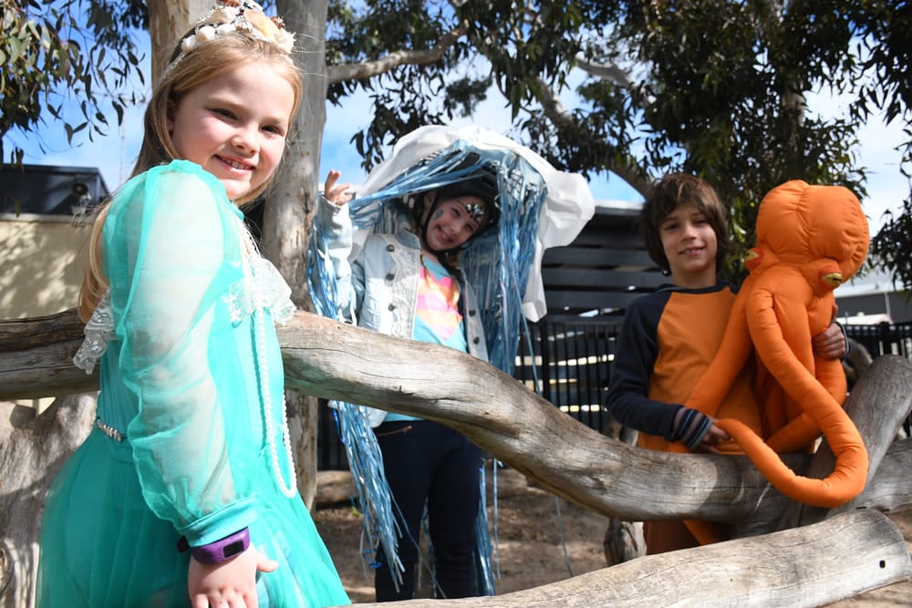 Book Week brings colorful characters to life post image