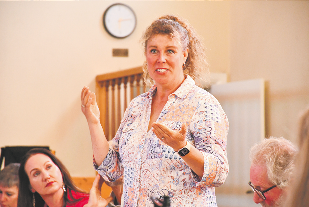 Councillor abandons meeting amid Australia Day stoush post image