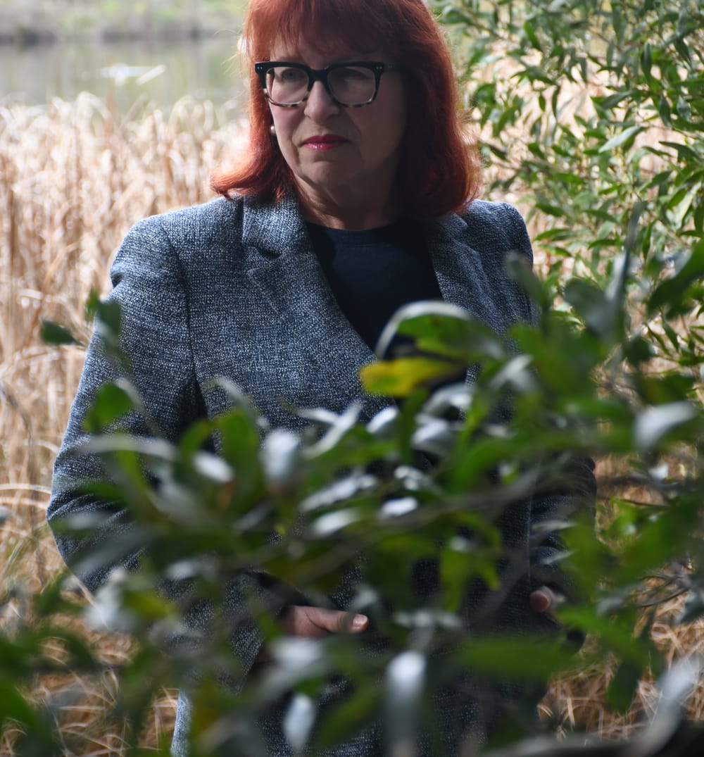 Jan-Claire for Mayor post image