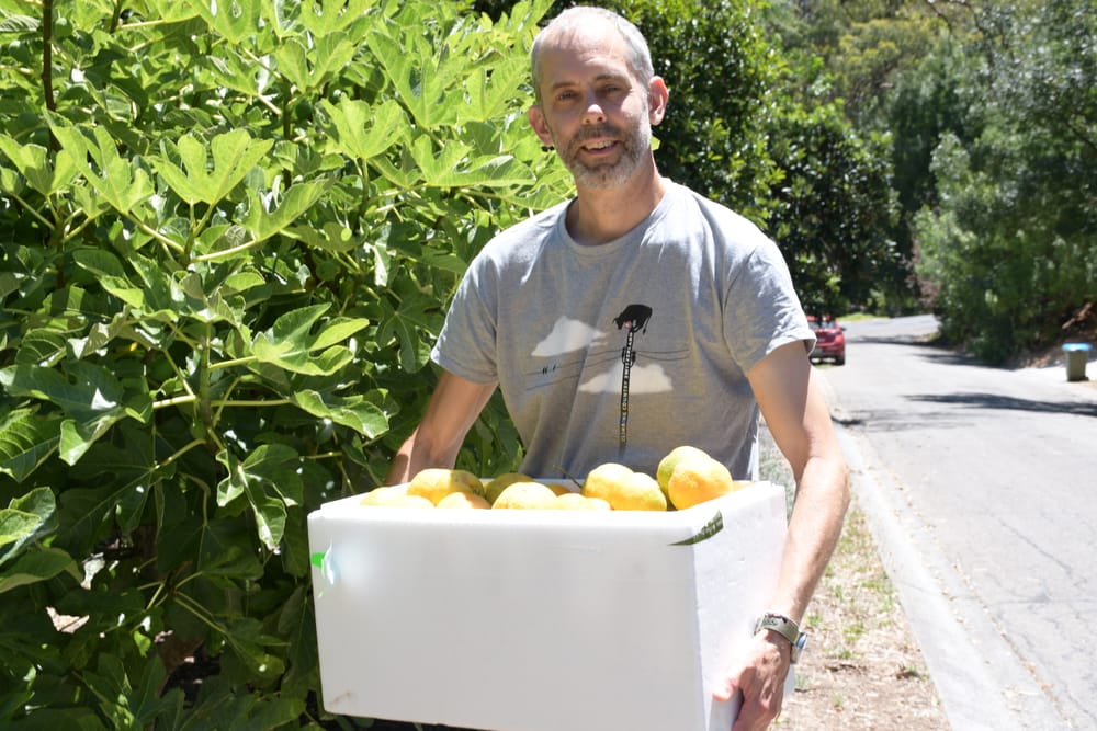 Fruit share program to help those in need post image