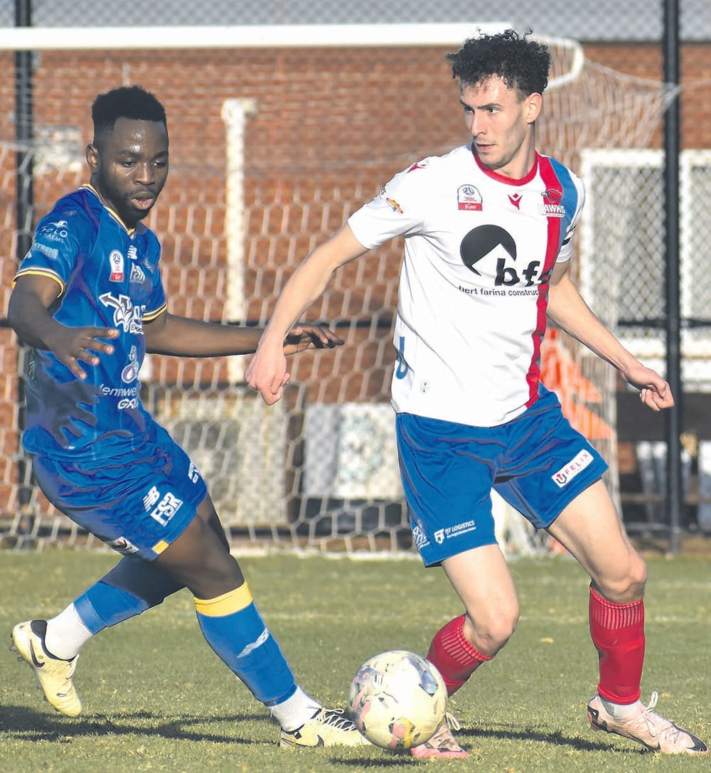 Soccer wins for Hills teams post image