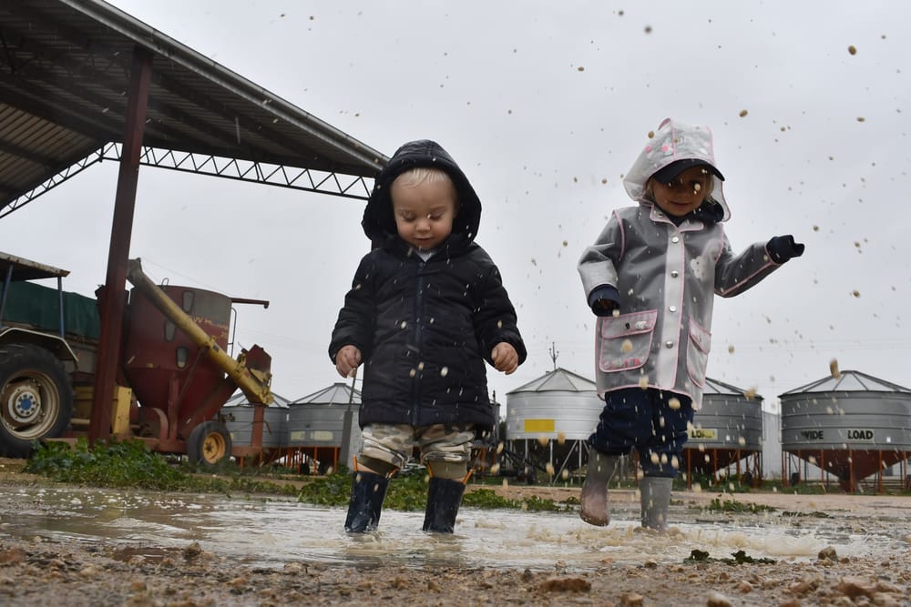 Rain arrives, but more needed post image