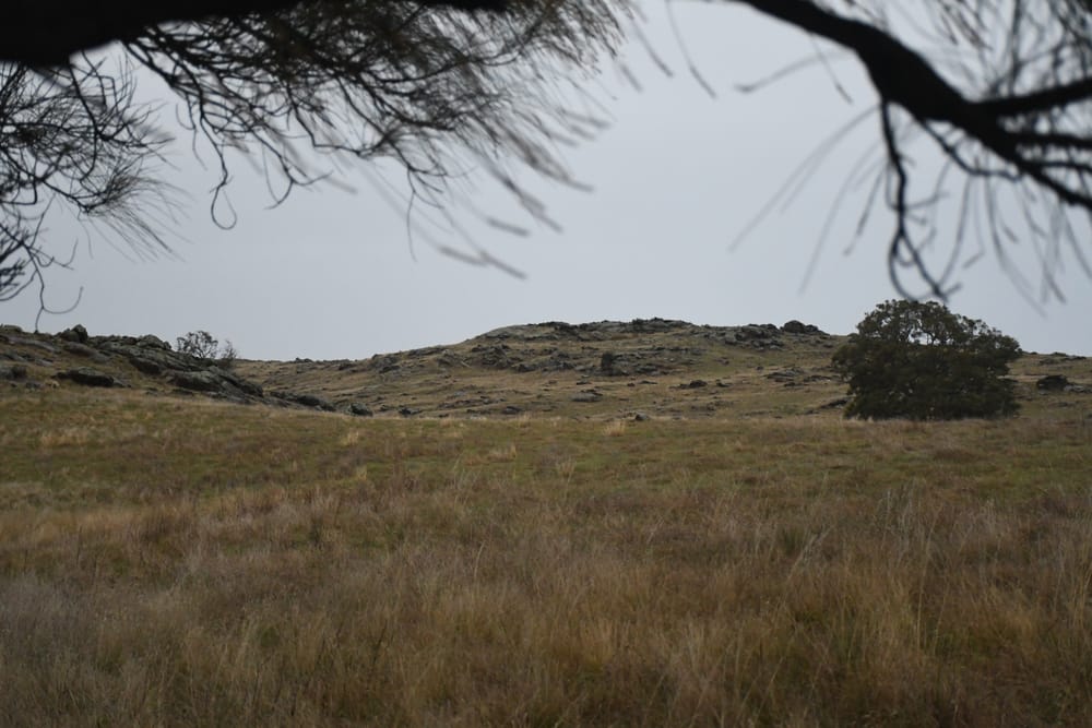 Palmer wind farm still on the cards, as number of turbines reduced post image