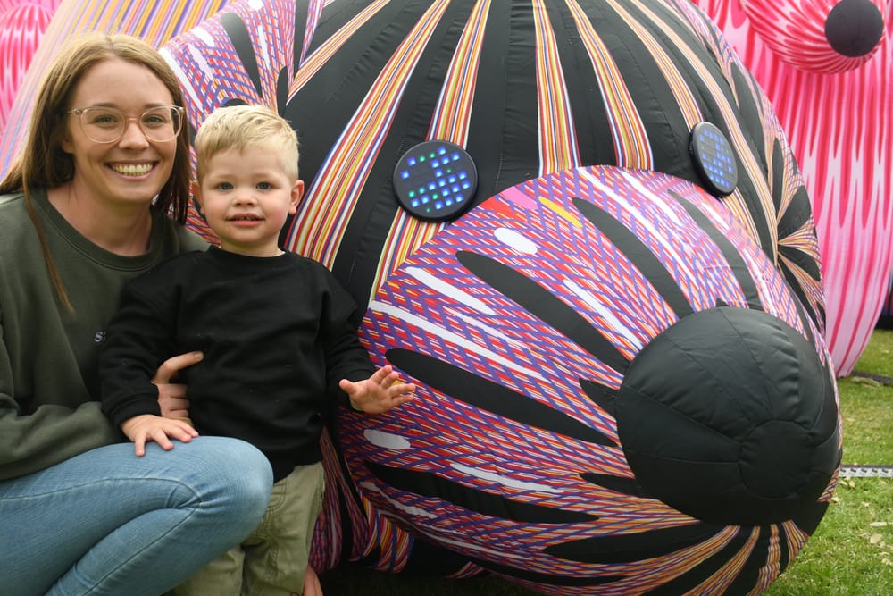 Lost Dogs come to town post image