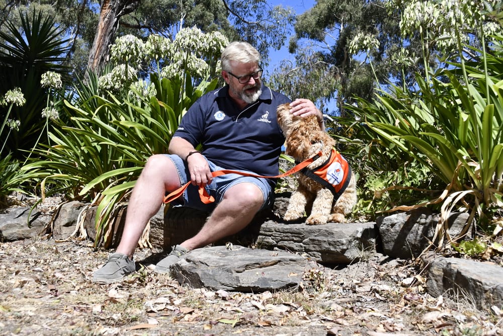 Charity on the search for puppy 'foster carers' post image