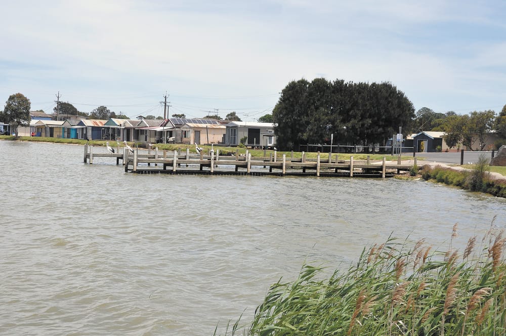 Sharkie calls for more action to preserve river health post image