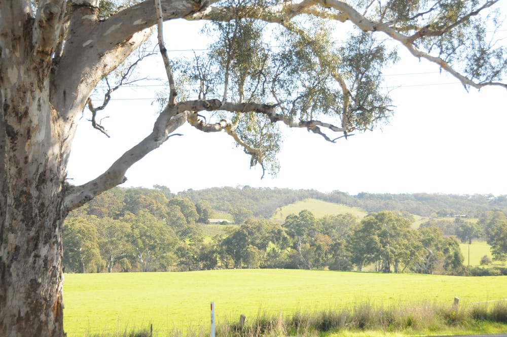 Powering on: controversial solar farm set to go ahead post image