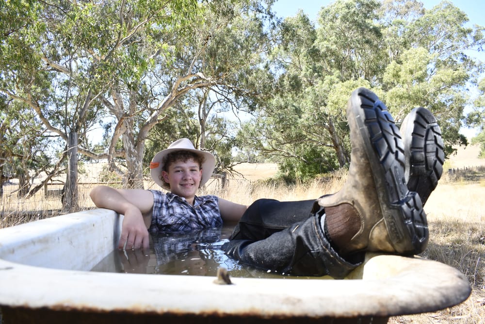 Courier photos recognised among best in the State post image