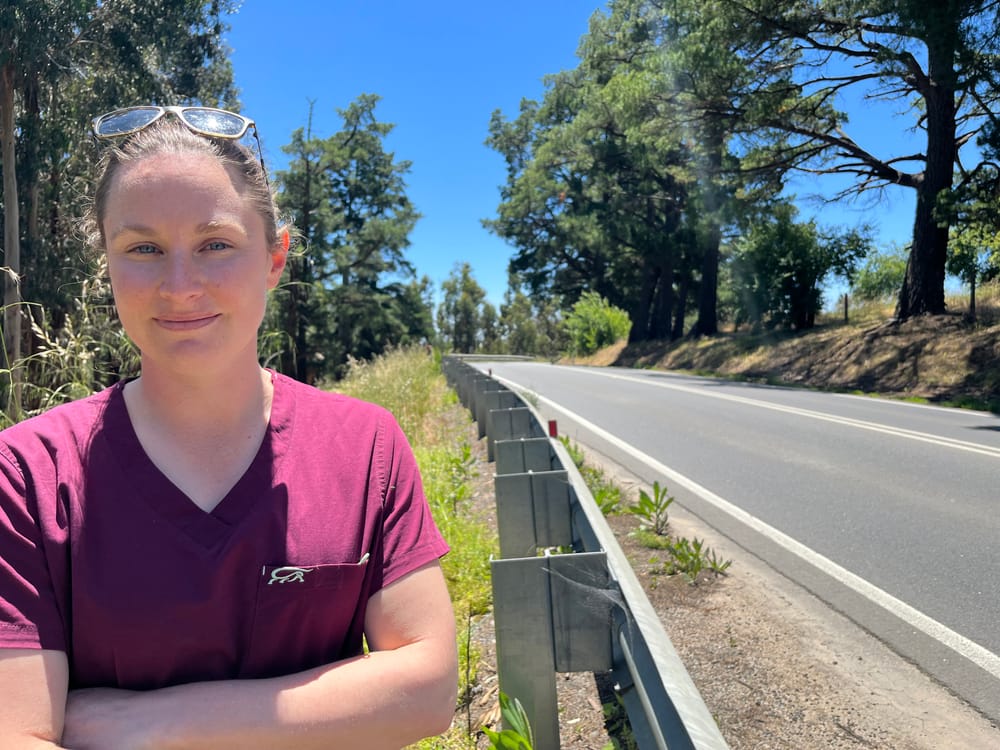 Calls for speed limit to be lowered at Inglewood post image