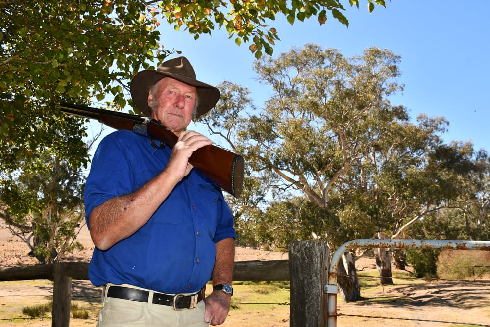 Rabbits run riot post image