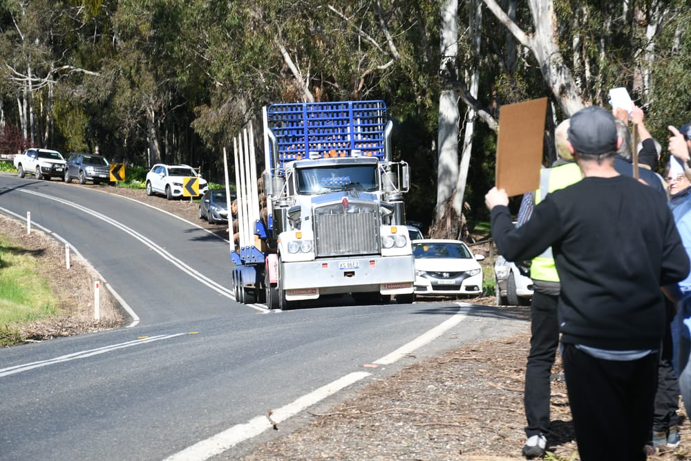 Truck silence: Government quiet on consultation details post image