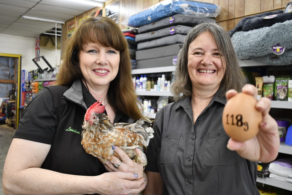 Lenswood woman makes egg-cellent find post image