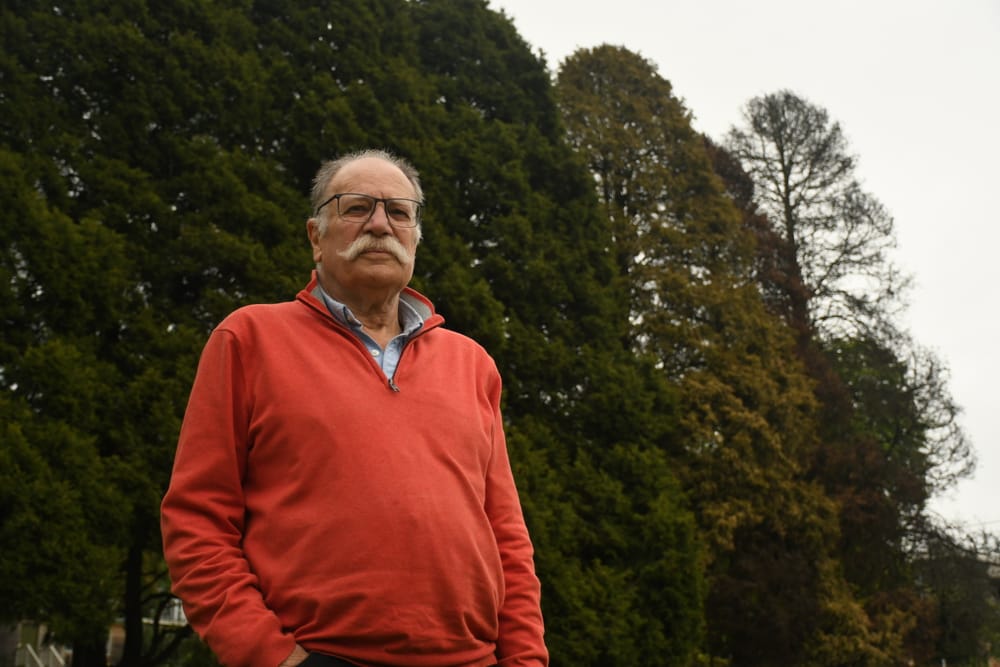 Fears for trees as fungus strikes post image