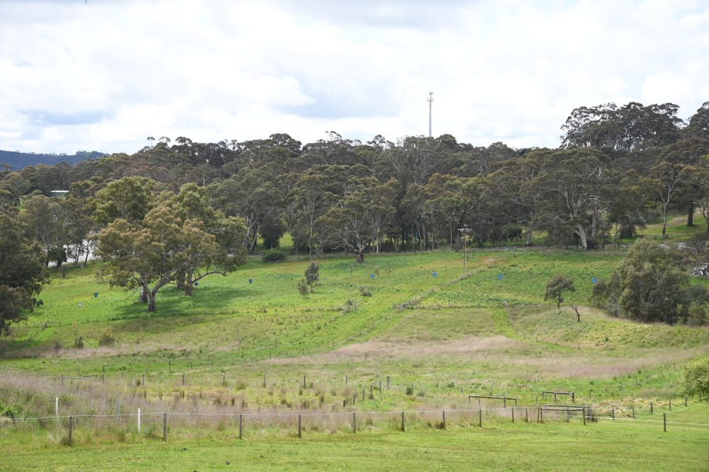 Trees at risk under new estate proposal post image