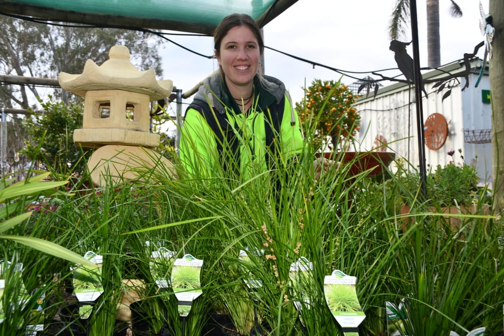 Hills residents turn to gardening as living costs rise post image