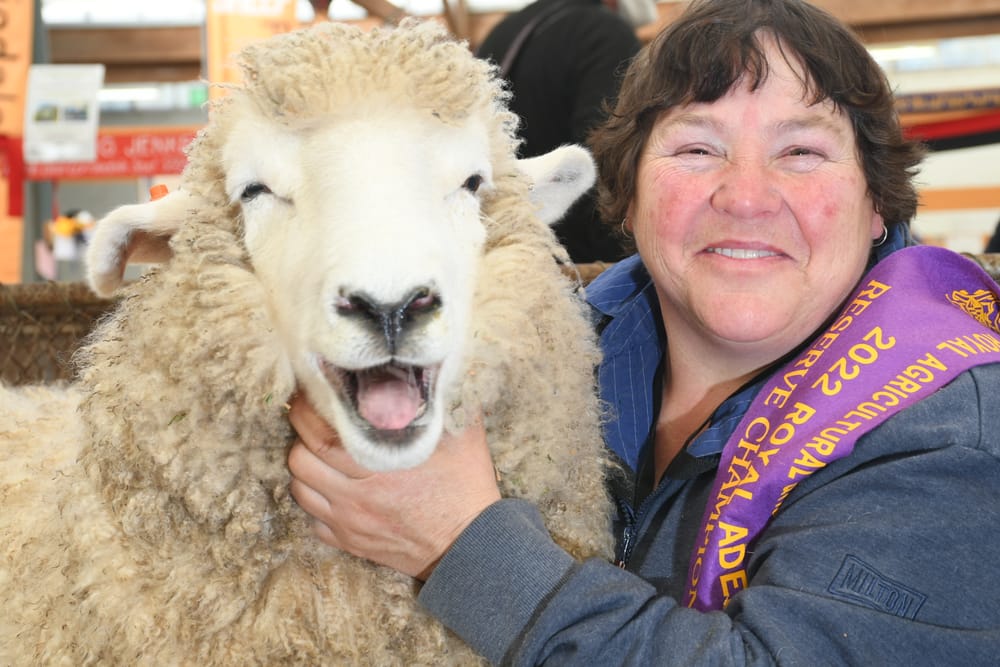 Show wins include champion ram and fleece post image
