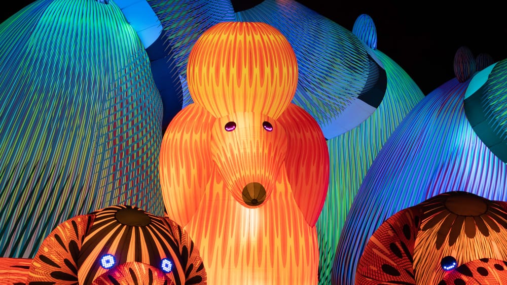 Lost dogs to replace Mt Barker's Koi post image