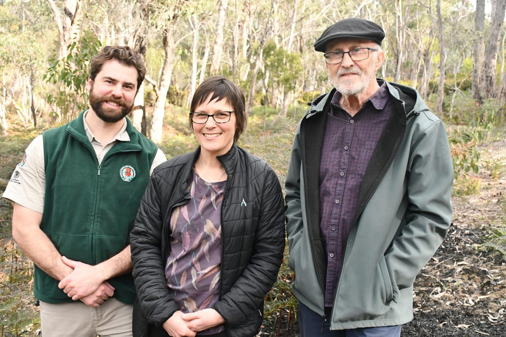 Plan to resurrect endangered herb post image