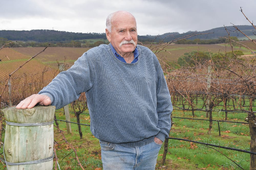 Hills wine industry celebrates quality grapes despite lower yield post image