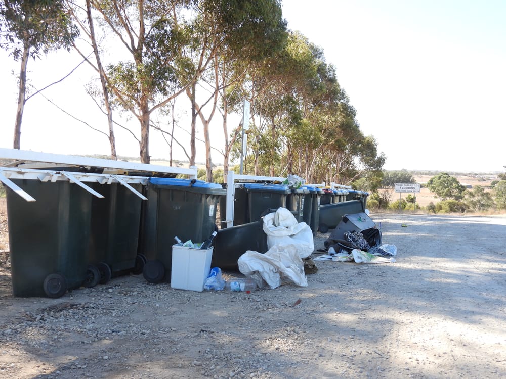 Residents call for Callington bin bank clean up post image