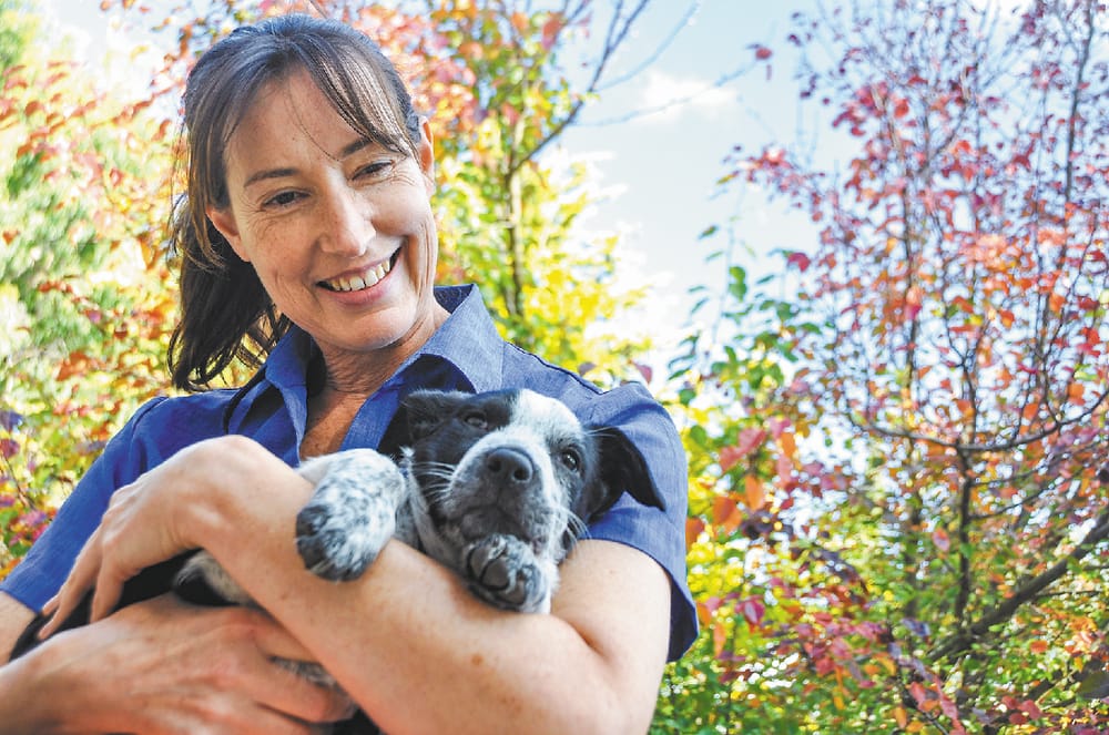 International day to honor our vets post image