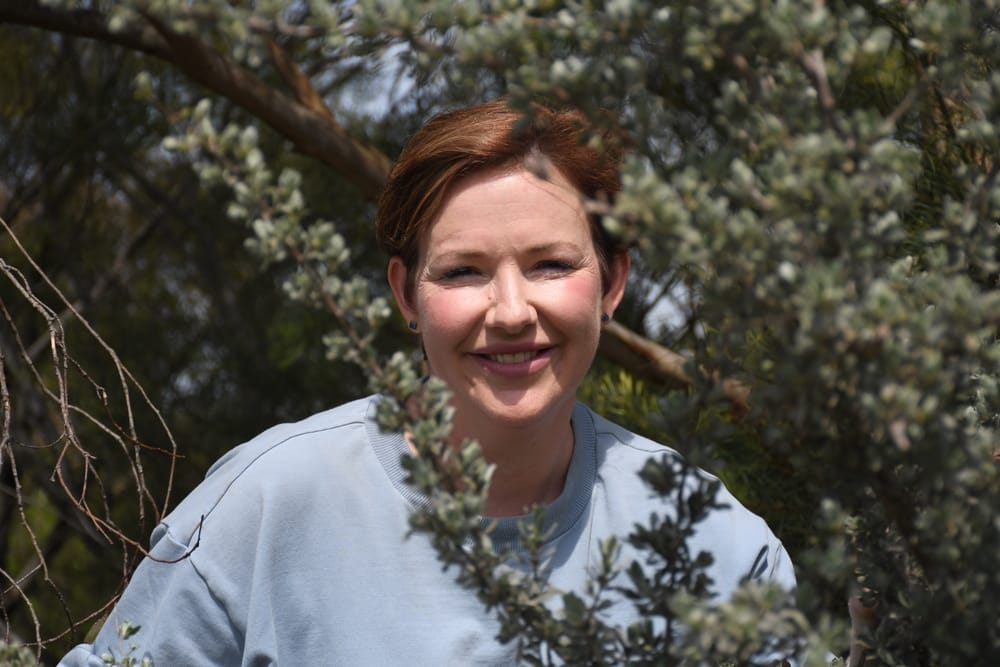 Where there's a will... post image