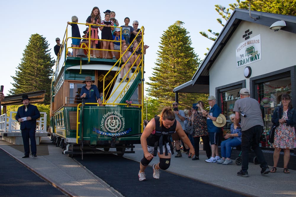 Horse power for a worthy cause post image