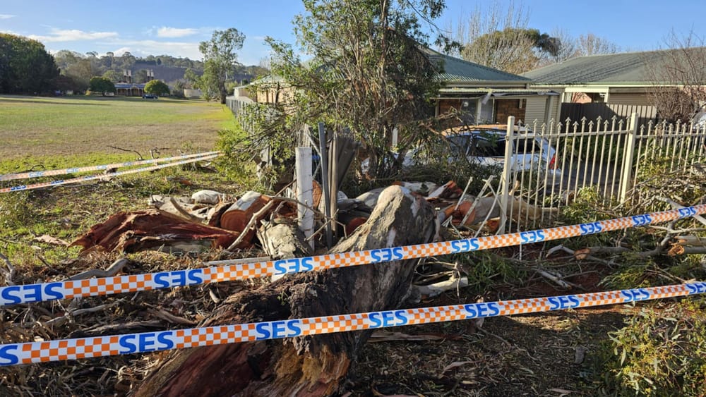 Wild weather lashes the Hills post image