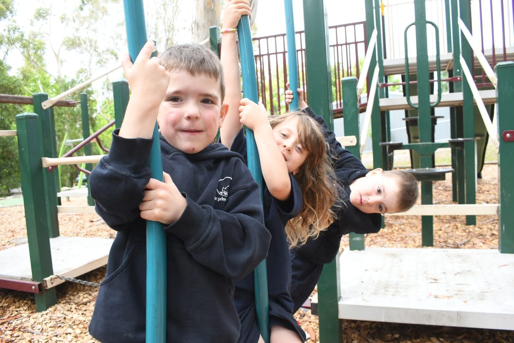 School boom: local school see student growth post image