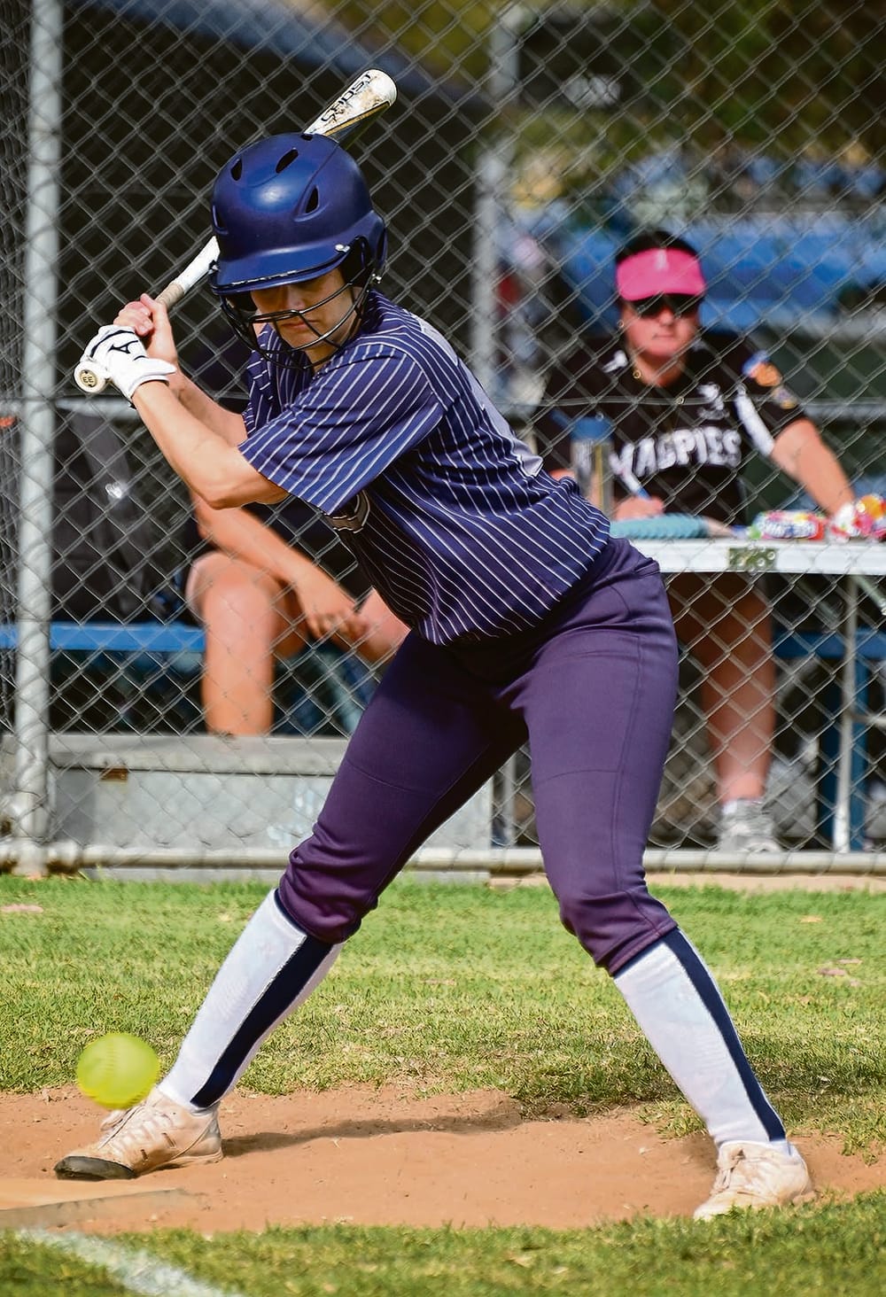 Softball for a cause post image