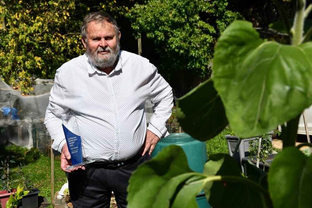 Biosecurity award for work to manage chestnut blight post image