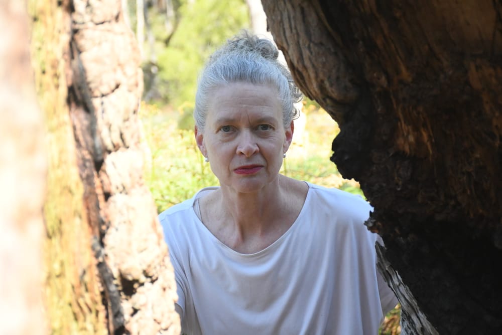 Hills tree loss a growing concern post image