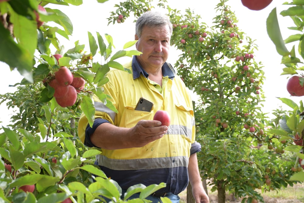 Growers welcome positive season, but challenges remain post image