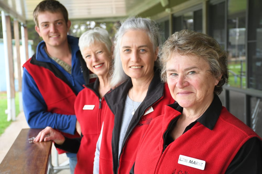 Something for everyone at the Callington Show post image