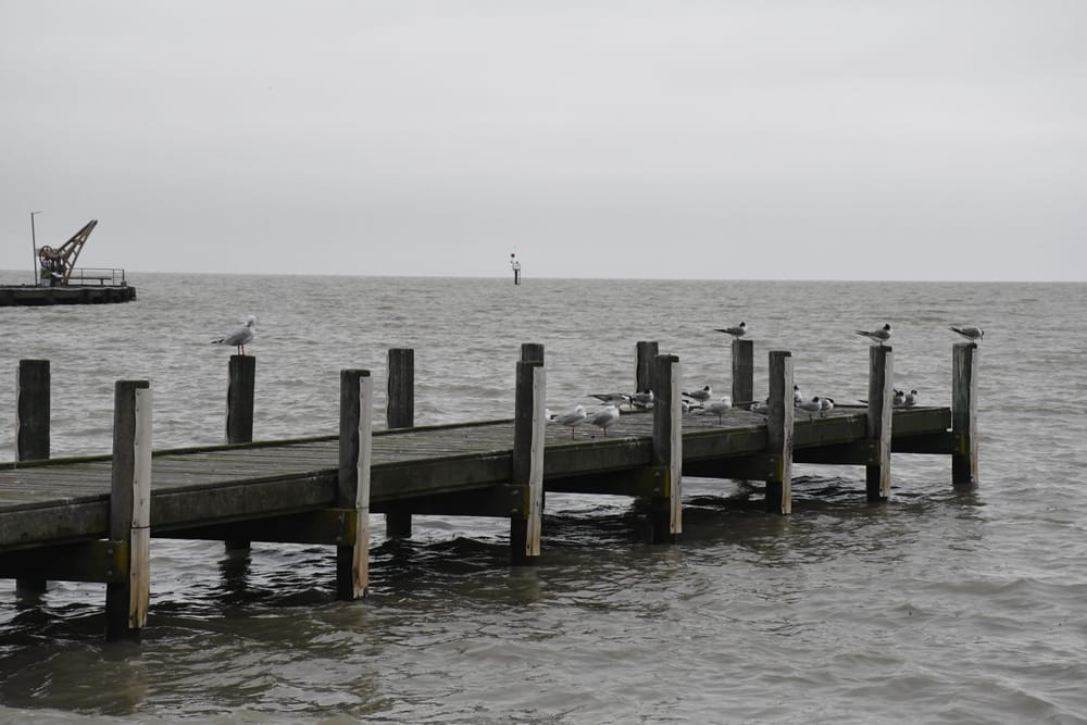 Flooding not expected at Milang, but residents urged to be vigilant post image