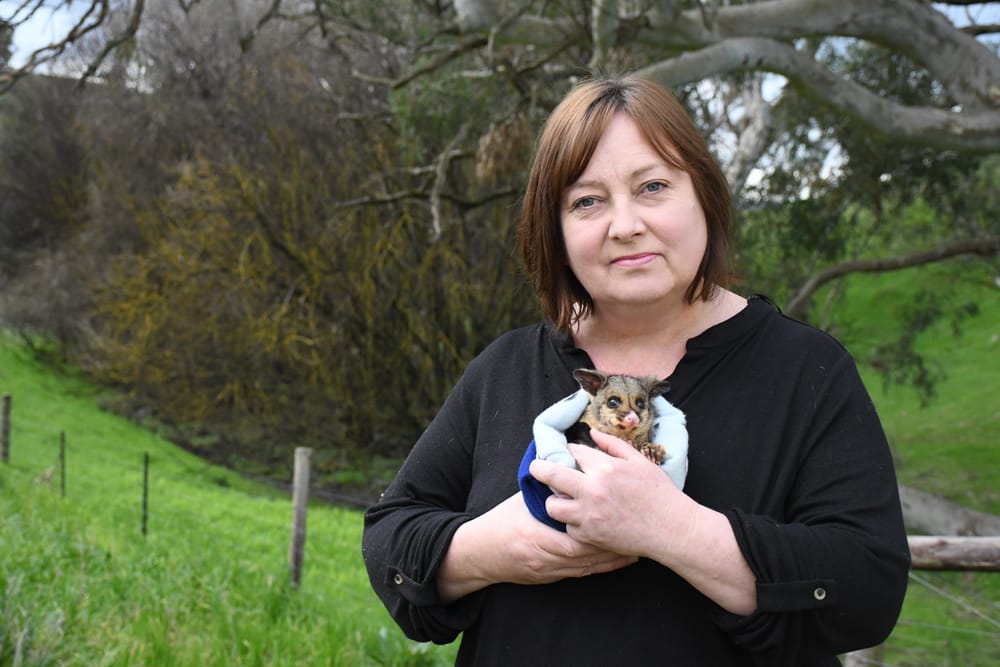 Rat poison warning as animal deaths rise post image